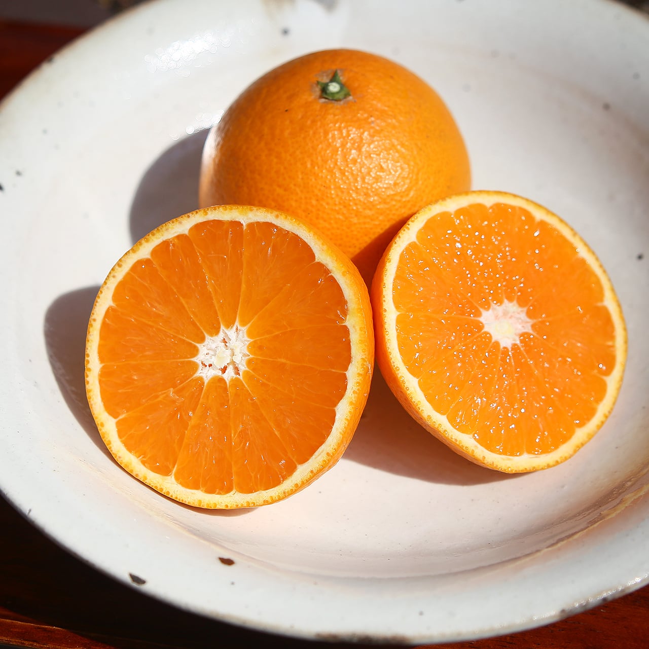 無農薬 希少 高級蜜柑苗木 キヨミ 清水 果樹 特大株 【公式通販】