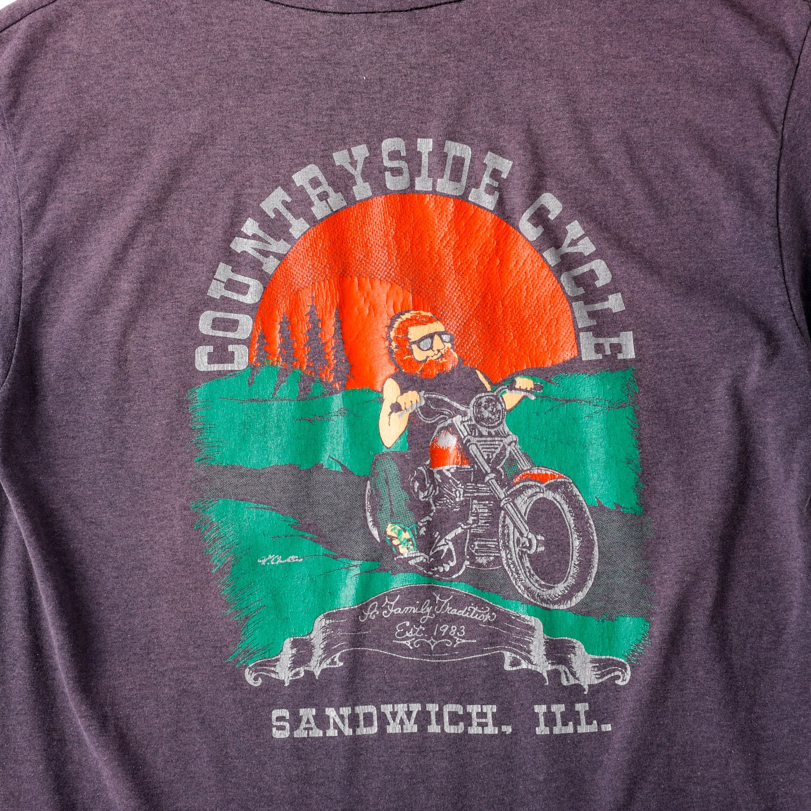 希少】80s Harley-Davidson Special vintage T-shirts 