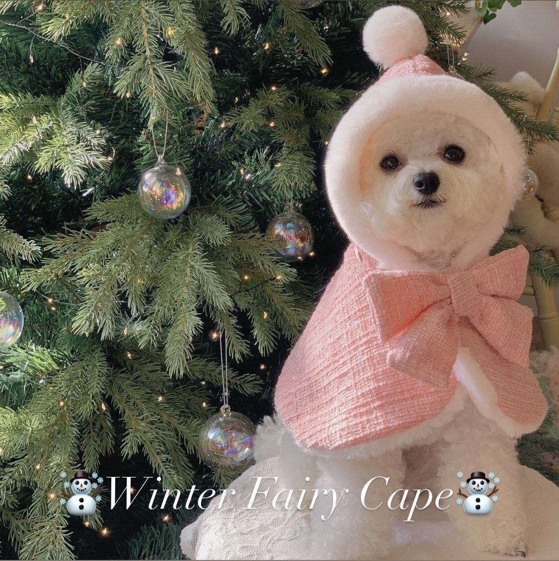 【専用BOX】leo 様