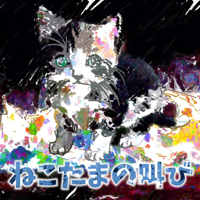 ❤️ねこ様❤️CD ねこたまの叫び（愚痴） | nekotamach