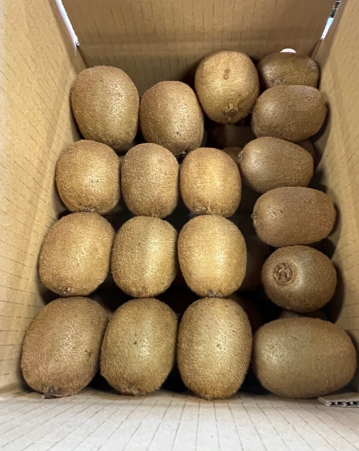国産自家農園】キウイフルーツ 大玉 一つあたり100g以上 1箱約3.3
