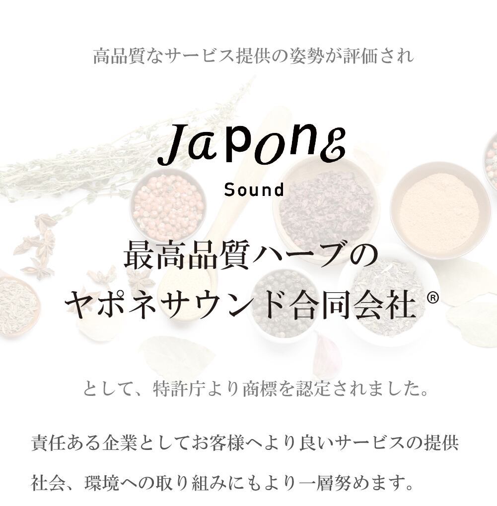 ライフウェーブ グルタチオン パッチ30 | Pay ID