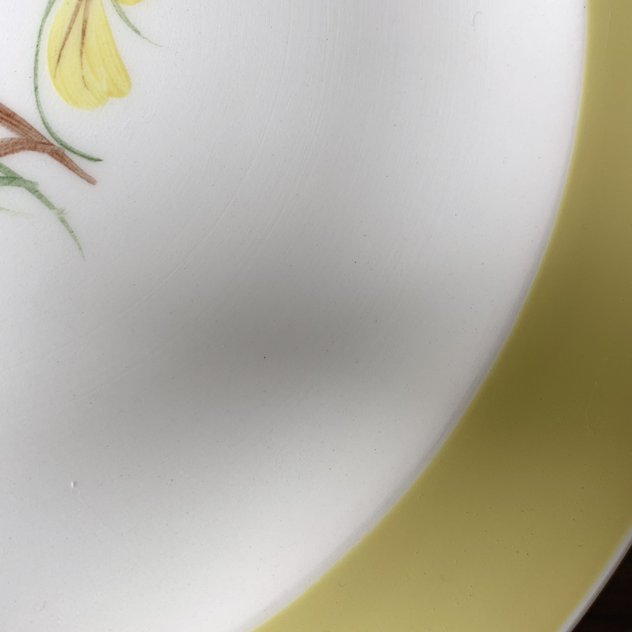 スージークーパー マリーゴールド プレート19.5cm D | bonbon mignon