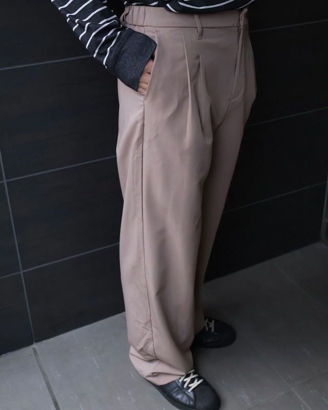 coloring two tuck straight slacks