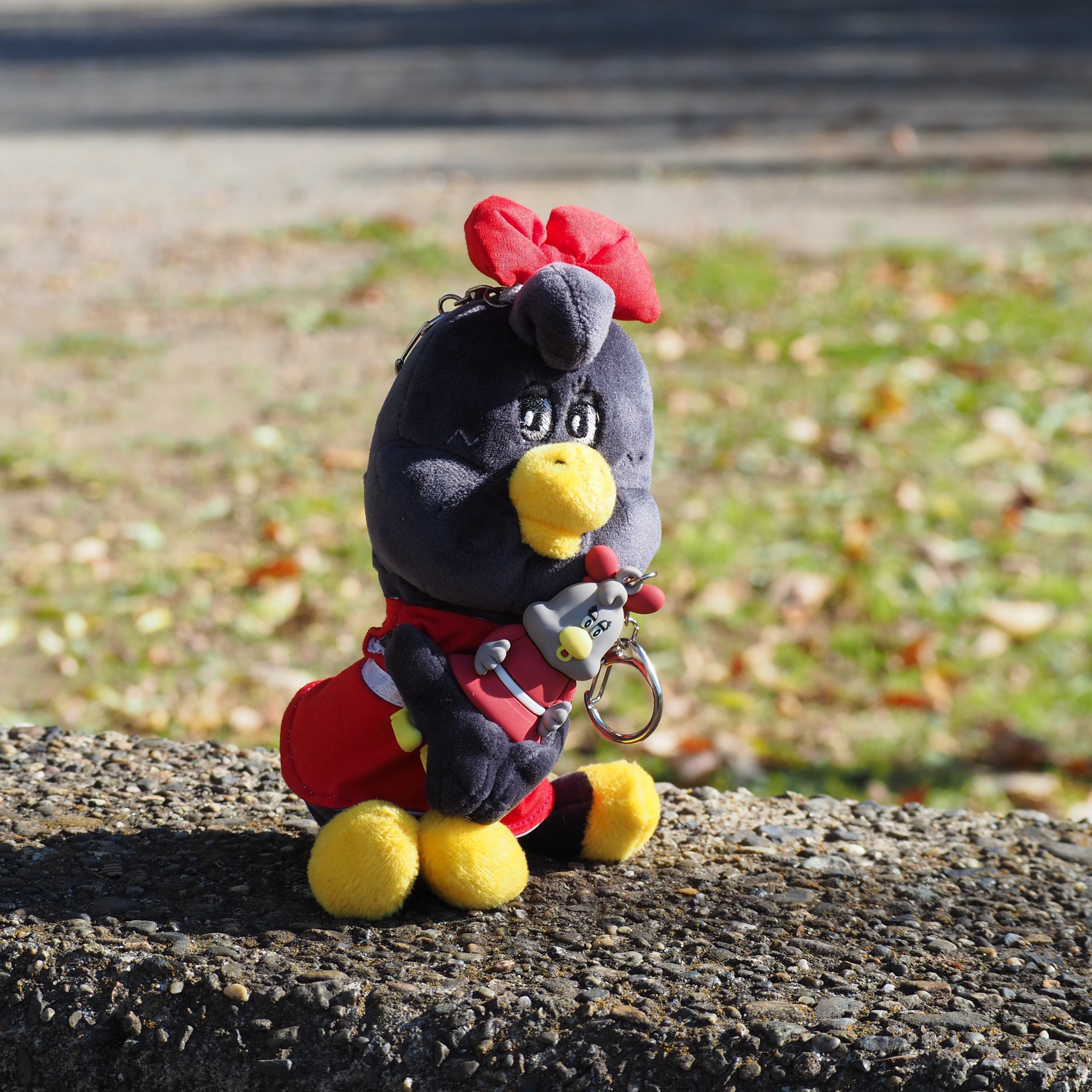DUCKMICO