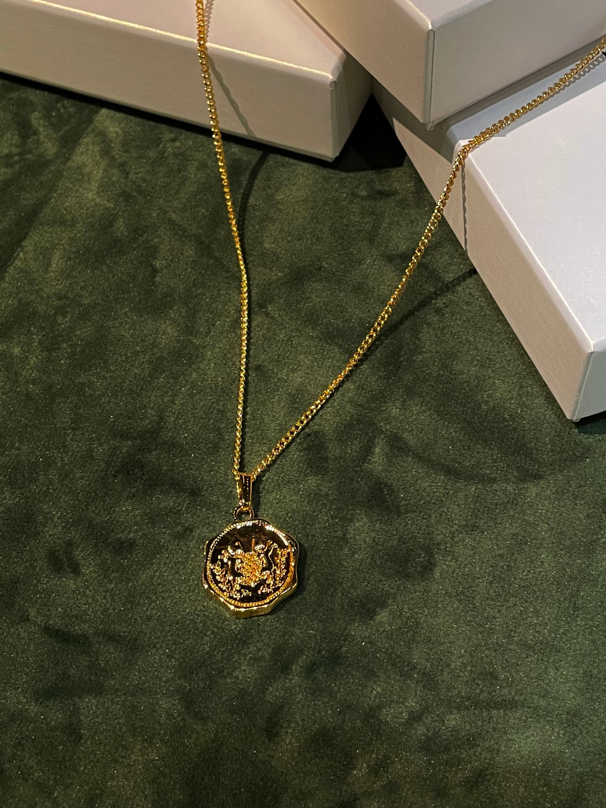 TAIGA IGARI | falman