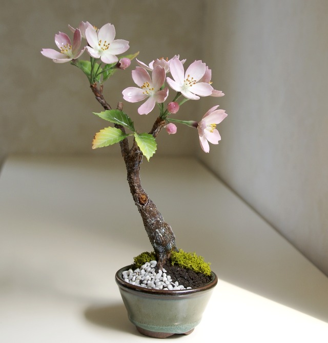ブリリアントフラワー®（ロウの花)「桜盆栽」