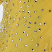 社交ダンス 衣装 スタンダード ドレス ワンピース スタンダードドレス 黄色 フロート レース フリル デモ 競技 ダンス パーティ 発表会 イエロー系 ホワイト系 黄色 白 キラキラ 輝き かわいい エレガント おしゃれ 演出用 ダンスウエア ダンス大会 用衣装 女性用