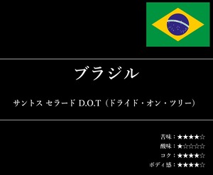 【通信販売:80g】ブラジル サントス セラード D.O.T（ドライド・オン・ツリー）