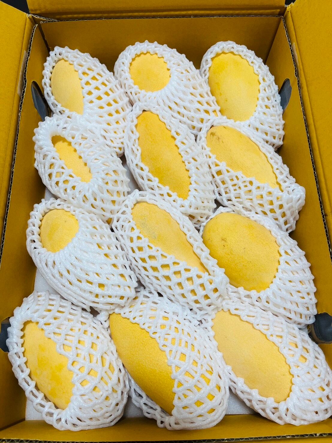 タイ産イエローマンゴー（ナムドクマイ種）2L-12 | アジアンネット