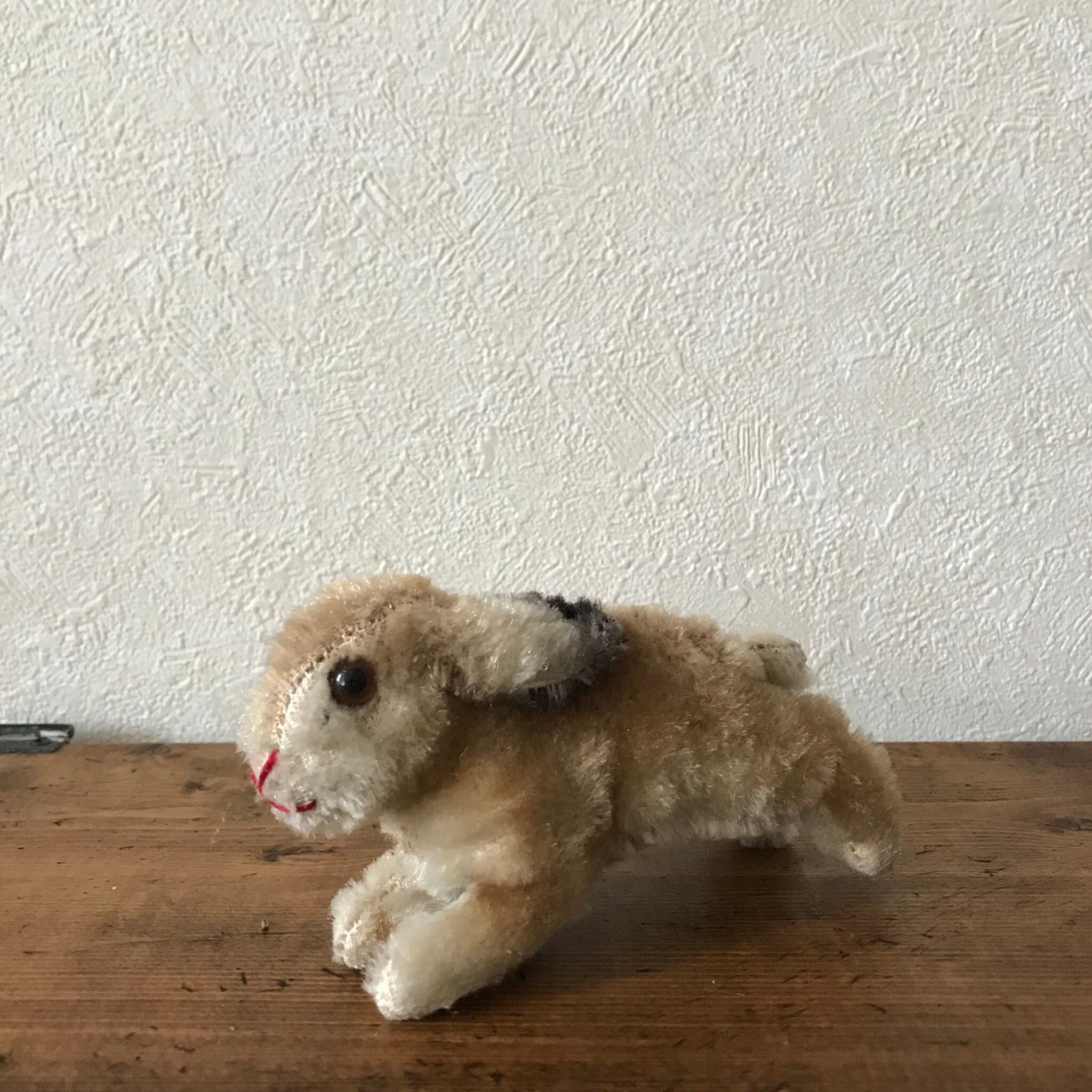 躍動感のある小さなうさぎ