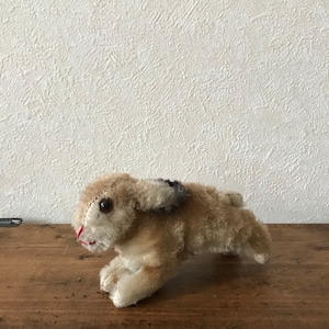躍動感のある小さなうさぎ
