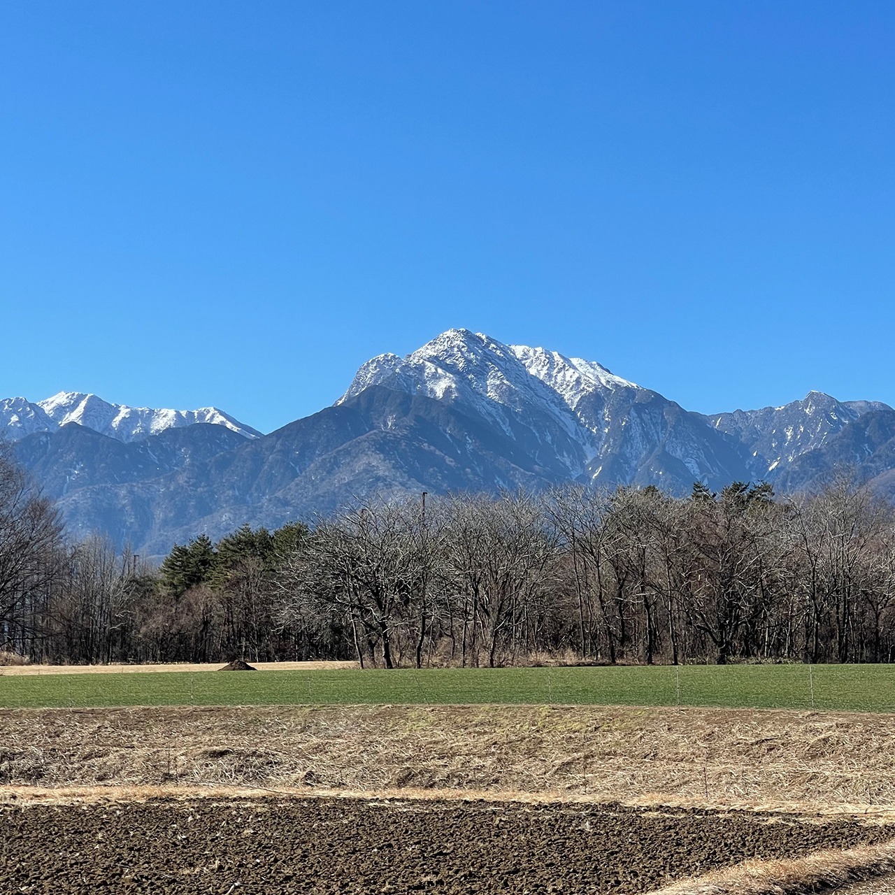 【米粉の玄米麺】（スープ付）2食入×2袋　味噌ラーメン　半生　特別栽培『コシヒカリ』使用