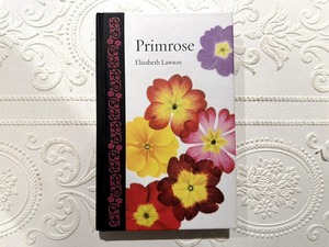 【VW189】Primrose /visual book
