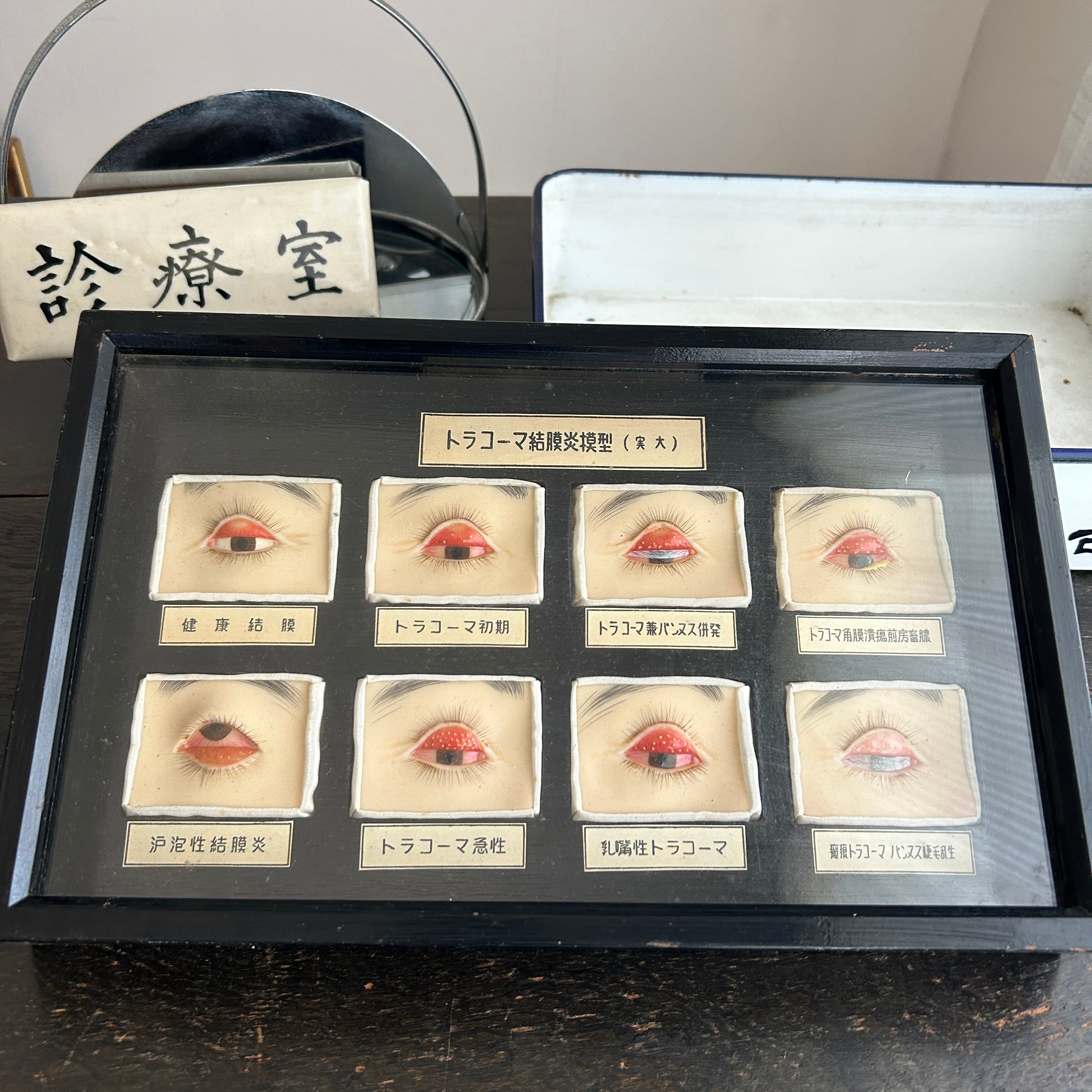 1950年代　眼科用結膜炎模型　