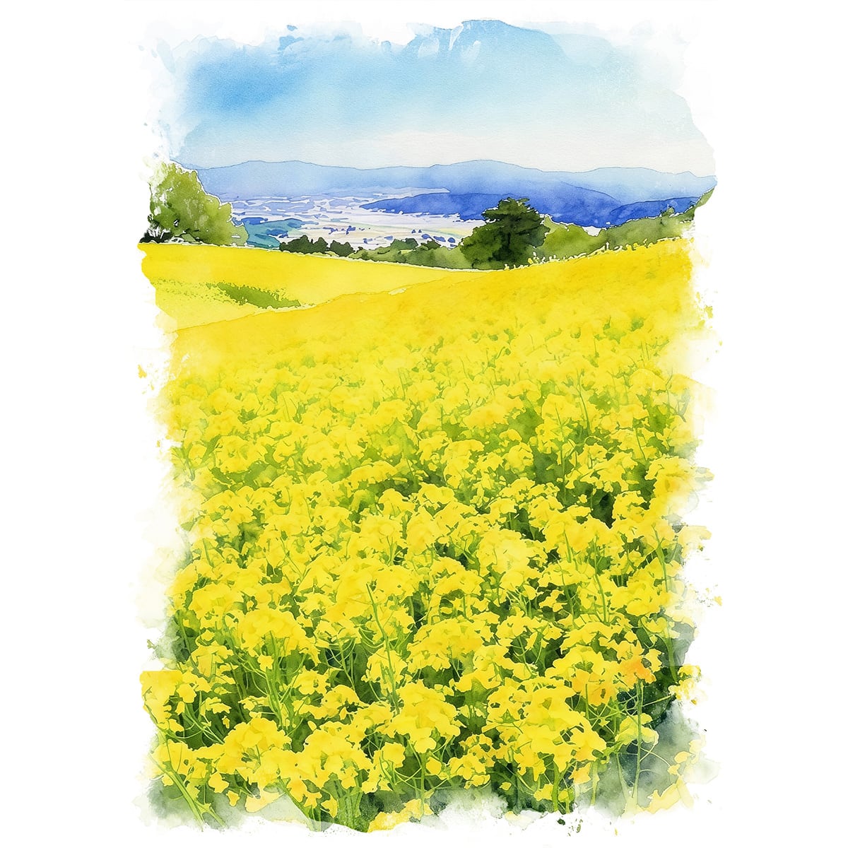 絵画(風景画) 日本の春 福島県三ノ倉高原菜の花畑 インテリアアート額