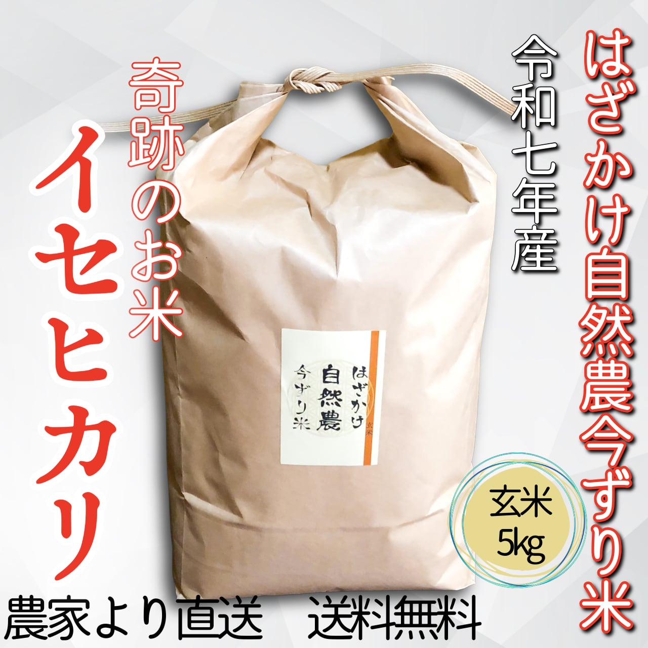 奇跡のお米「イセヒカリ」 はざかけ自然農今ずり米 玄米5kg（送料無料