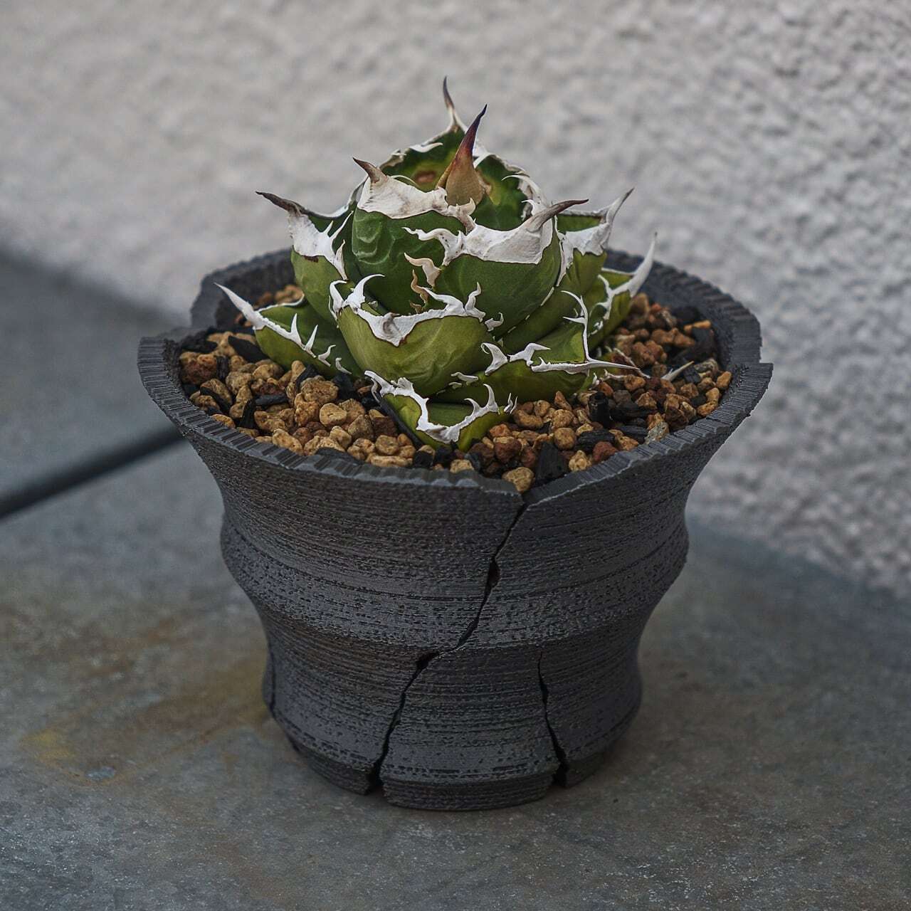 Green Mountain クラックスリット鉢 G 大鉢 (15cm) | one4