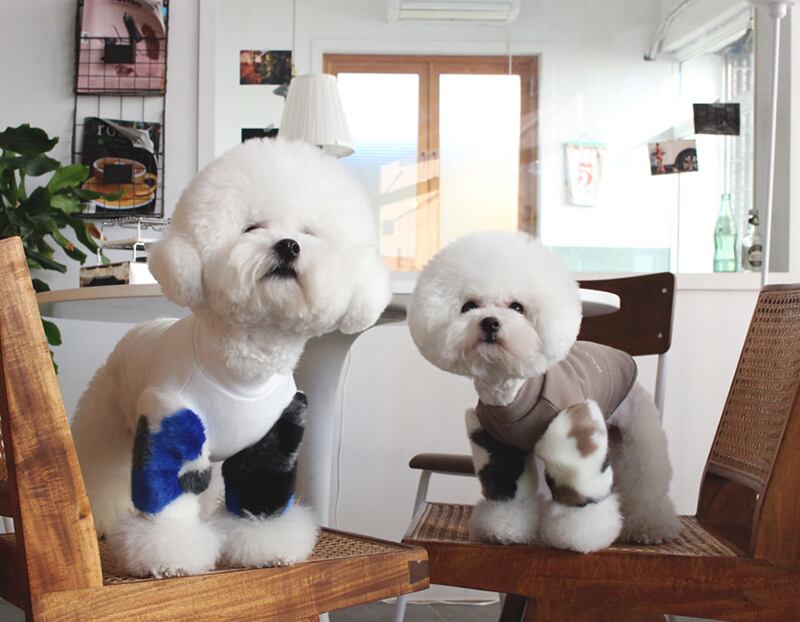 ミンクファー袖トレーナー S ~ XL 2color / 犬服 新作 ドッグウェア 小型犬 中型犬 犬 服 ジャケット ペット用品 ペット洋服