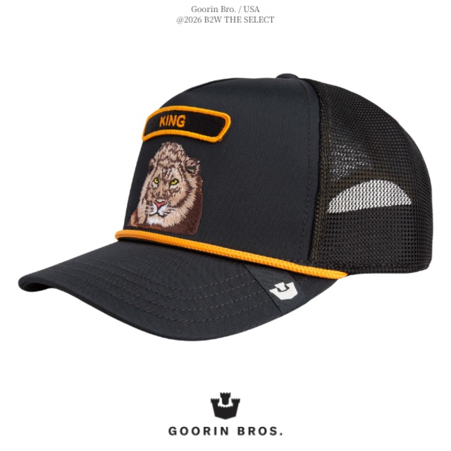 Goorin Bros. GB2 Lion VOID VOID