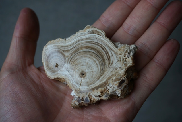 モロッコ産カルサイト/アラゴナイト Calcite / Aragonite 1639