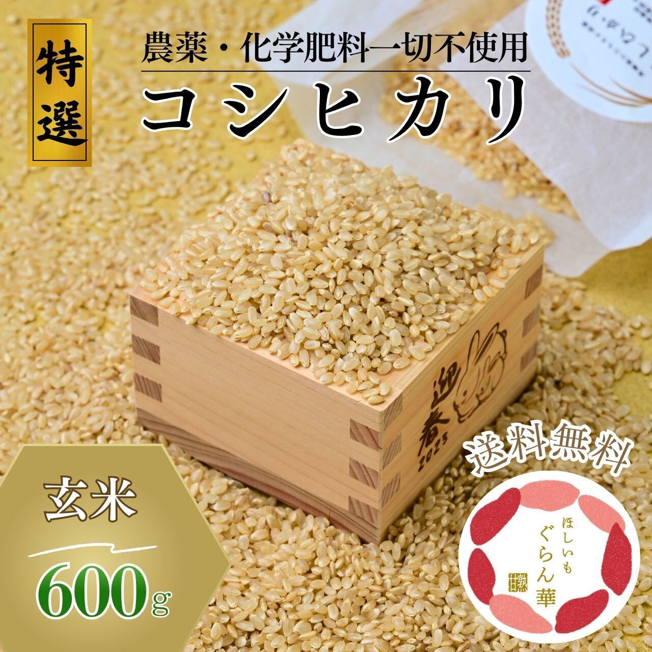 令和7年 コシヒカリ玄米45kg送料無料 コシヒカリ 玄米 4.5kg｜令和7年産 国産米 送料込 | KTP Nature Farm