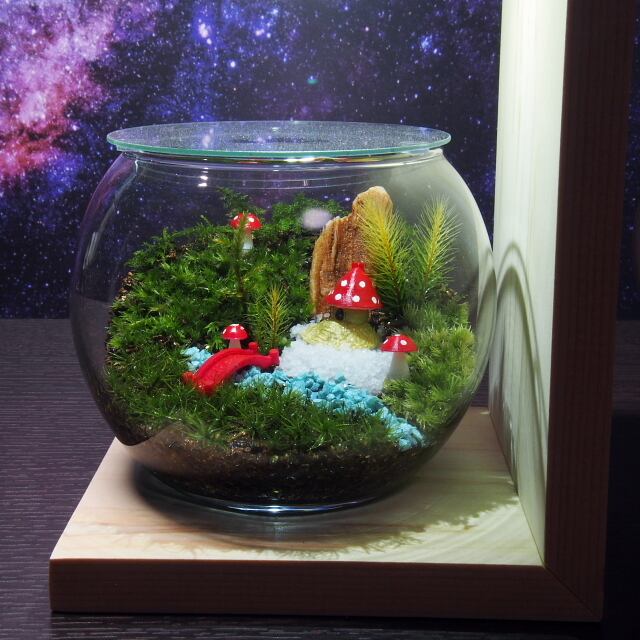 きのこの山【苔テラリウム・手作りキット一式】金魚鉢 | 工房・津軽moss