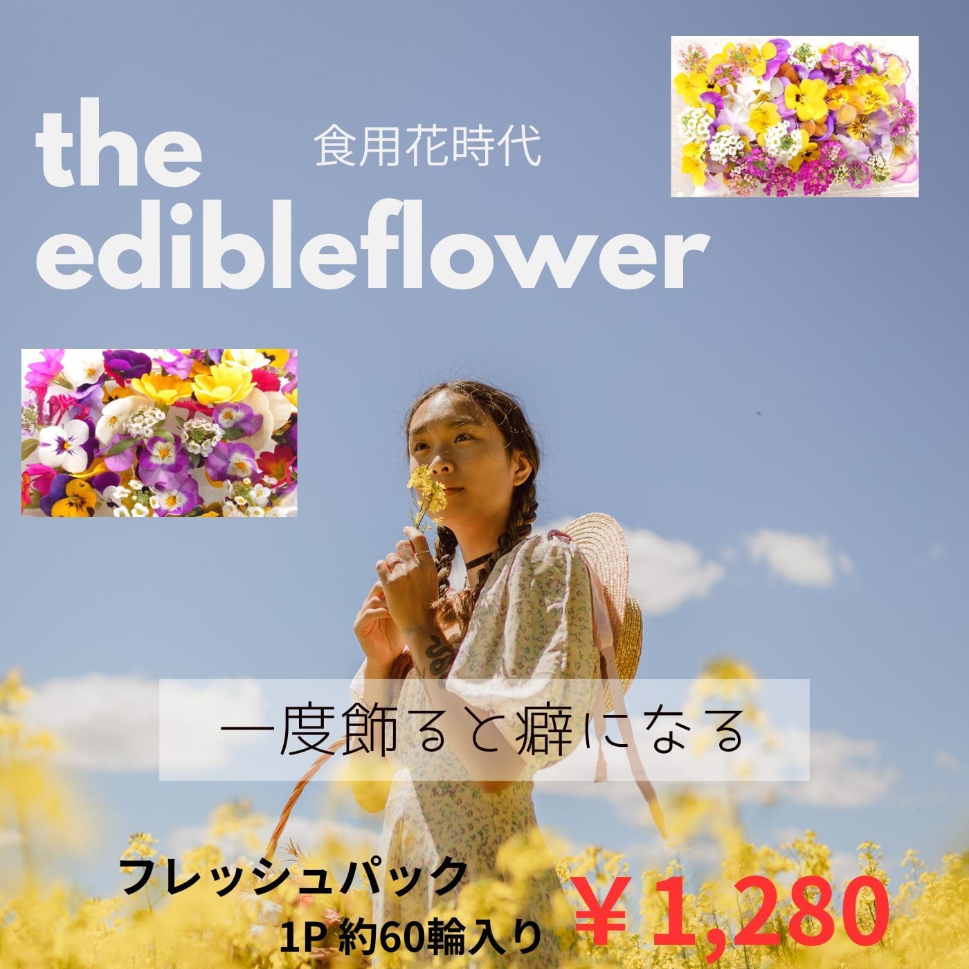 季節のエデイブルフラワーMIXパック（フレッシュ） | エフ鳥取