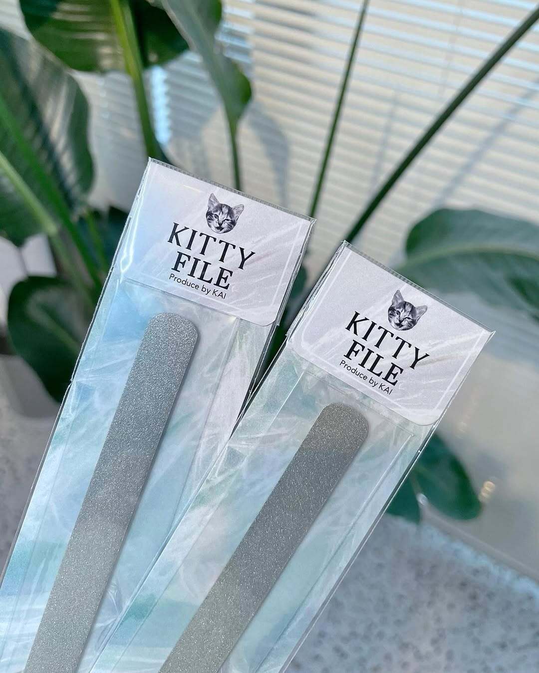 単品】KITTY：KITTY FILE｜ネイルファイル | hbaz official store
