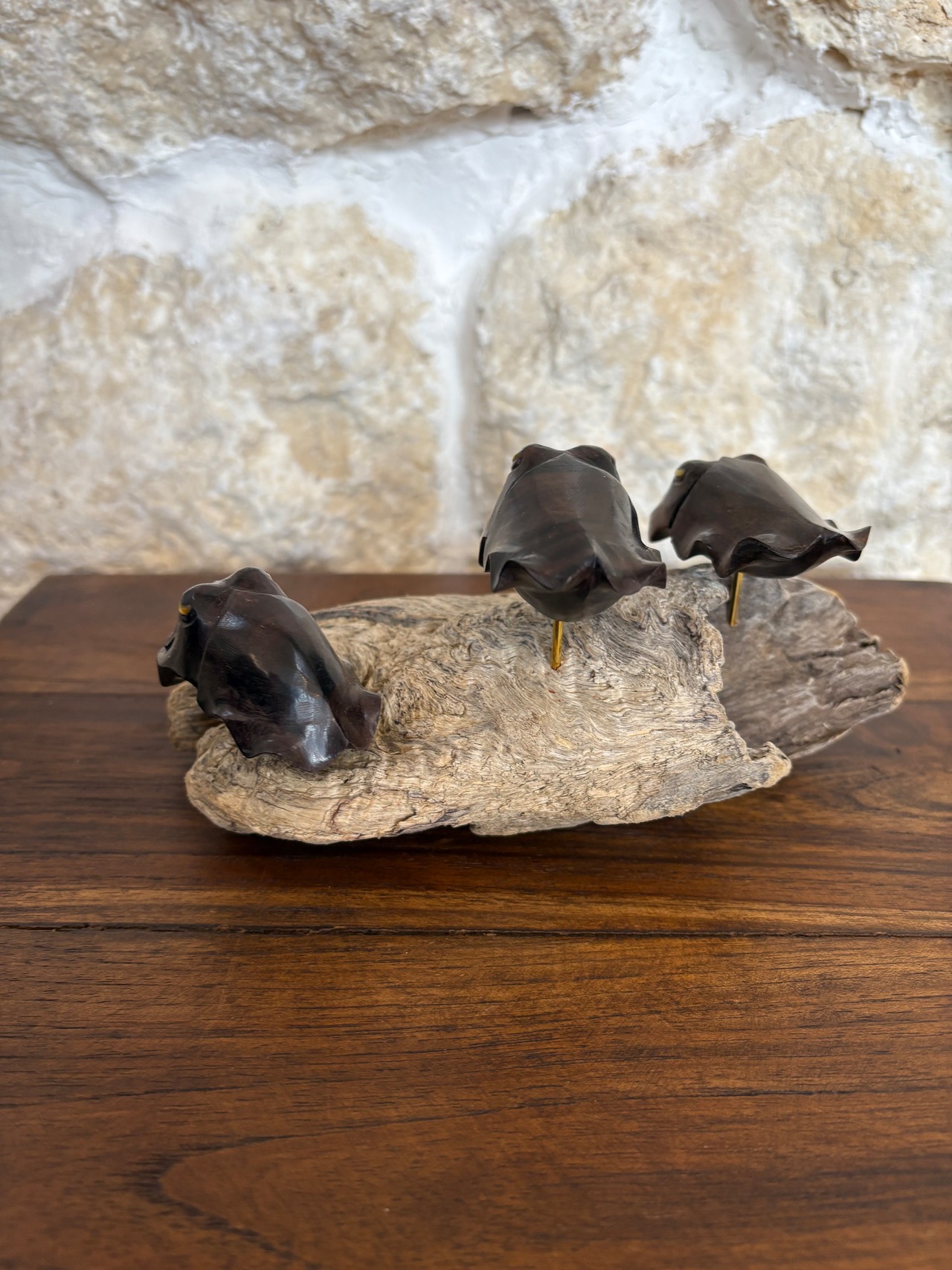 黒檀クブシミのオブジェ　(和名コブシメ)