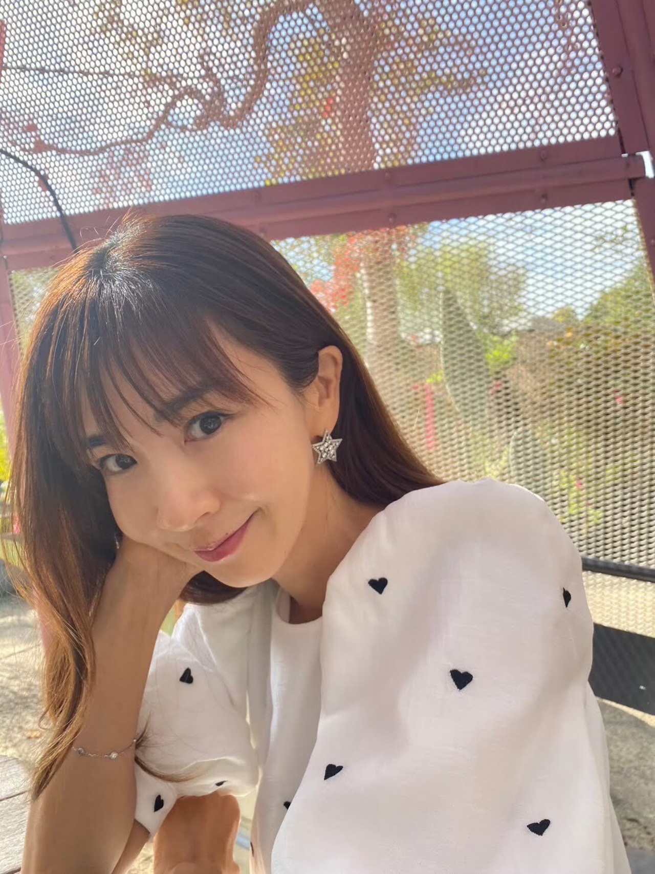 ツインスター ( ゴールド / シルバー )