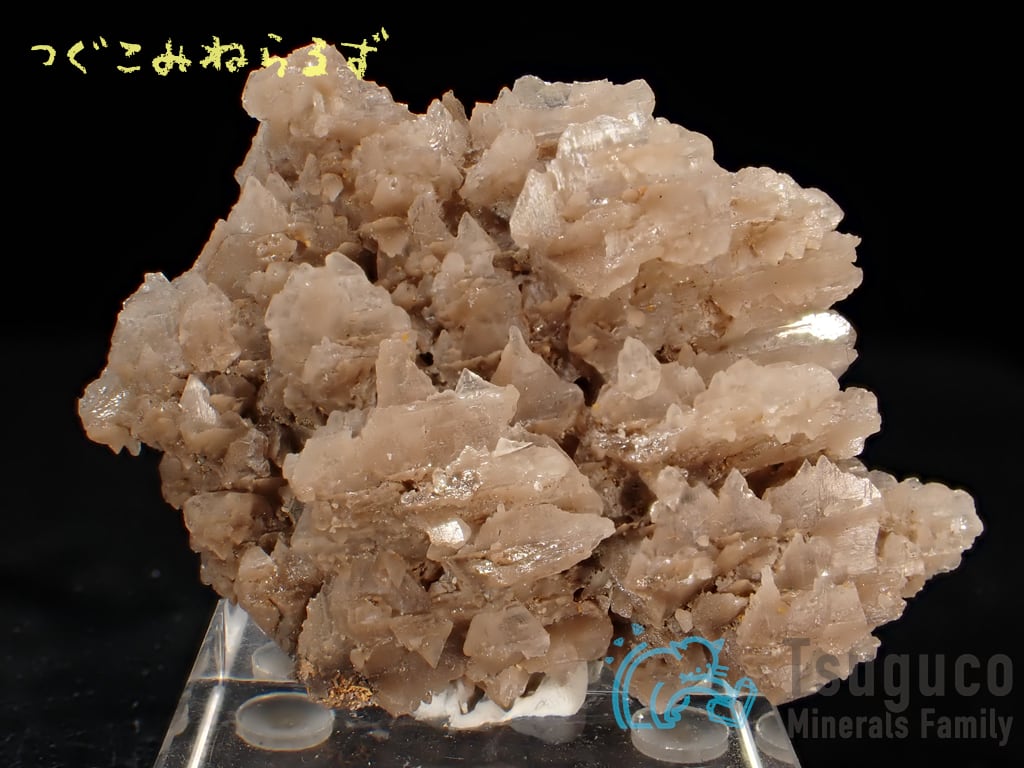 セルサイト 白鉛鉱 Cerussite イラン TM-0040