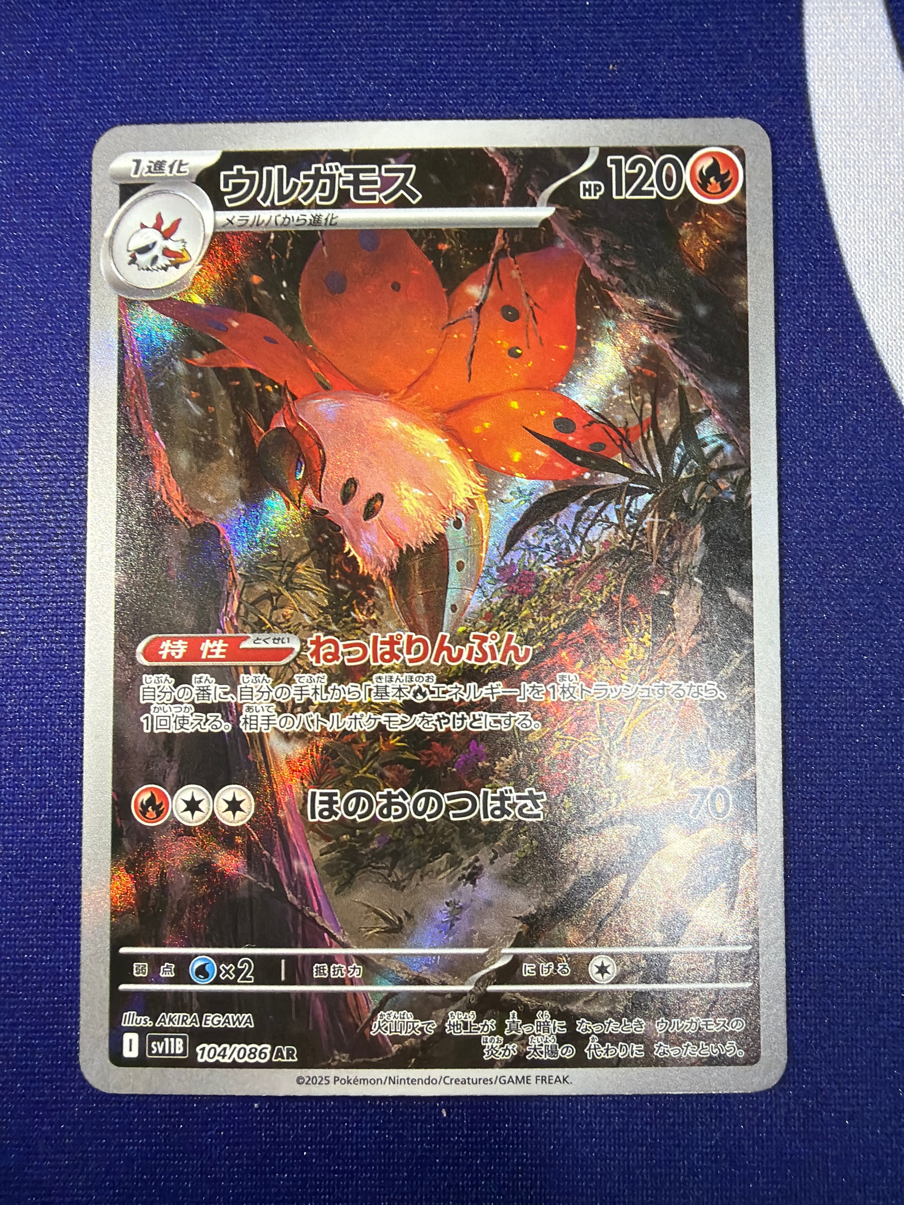 Aランク】ハヤシガメ sv5K 072/071 AR ワイルドフォース ポケモン