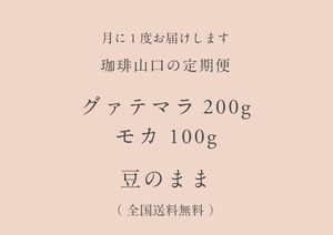 【 月額制 ¥2,268 】定期便 グァテマラ 200g / モカ 100g  豆のまま（送料無料）