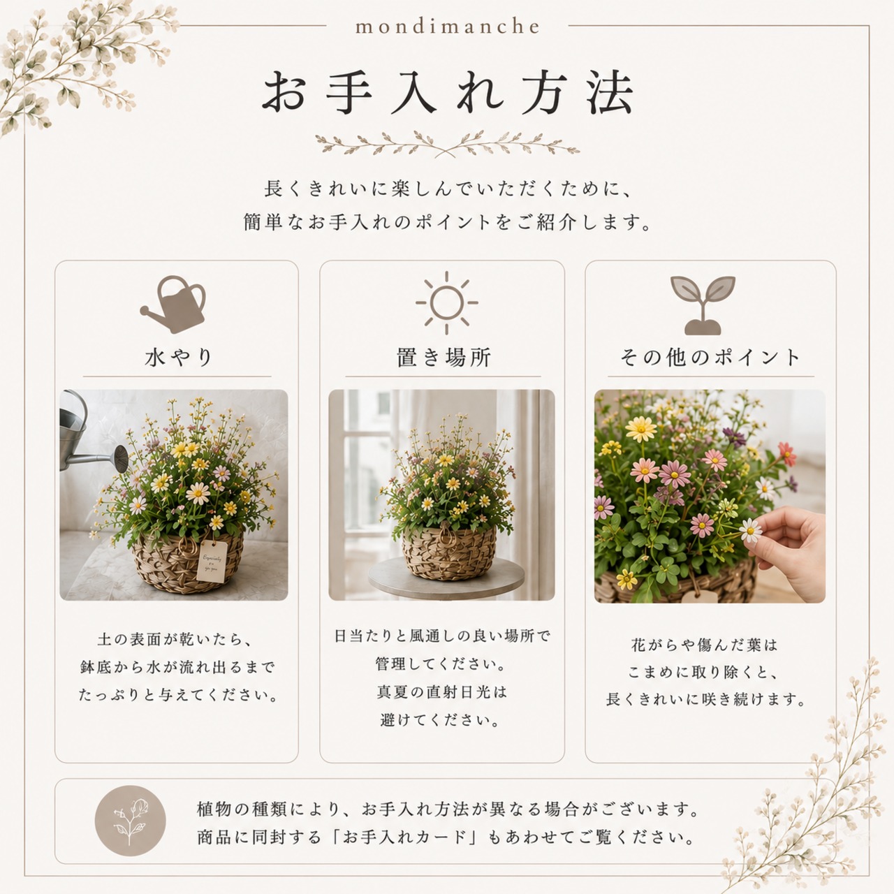 ジニア ベリーズダブルピンクラグーン｜秋の寄せ植えに♪アンティークカラーの花