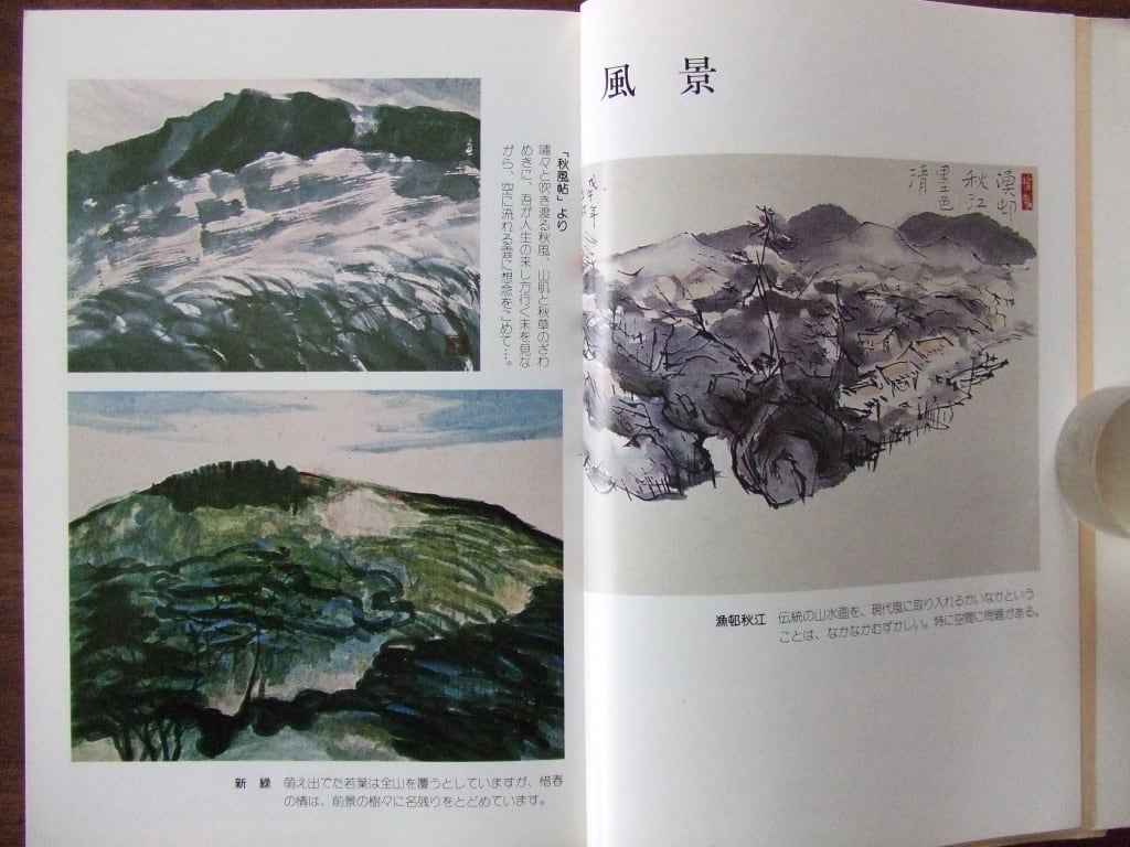 人生を豊かにする 水墨画の描き方／渡辺鍔空 | HandCraftSuzuBooks