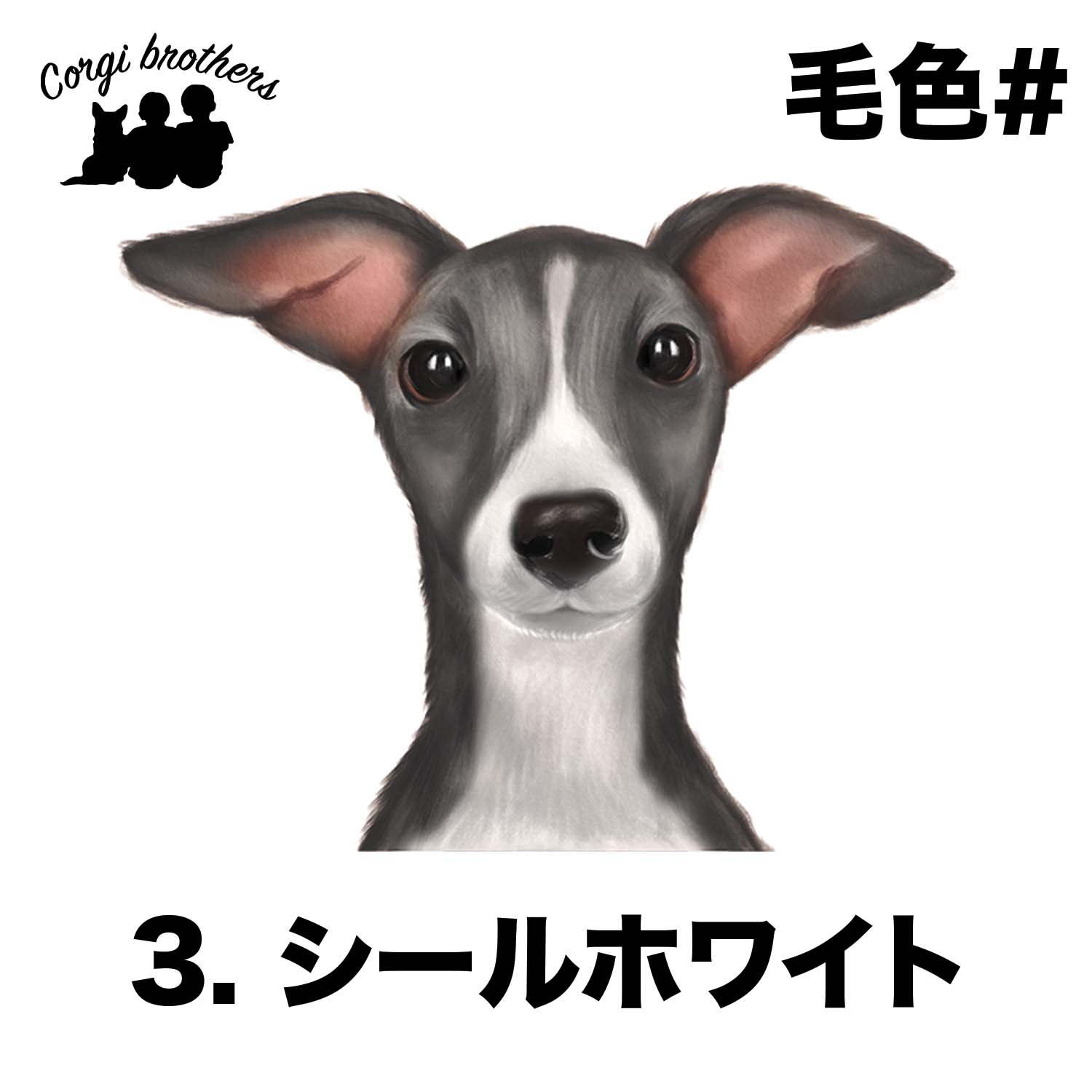 イタリアングレーハウンド 水彩画風 毛色4色 】タオルハンカチ ピンク