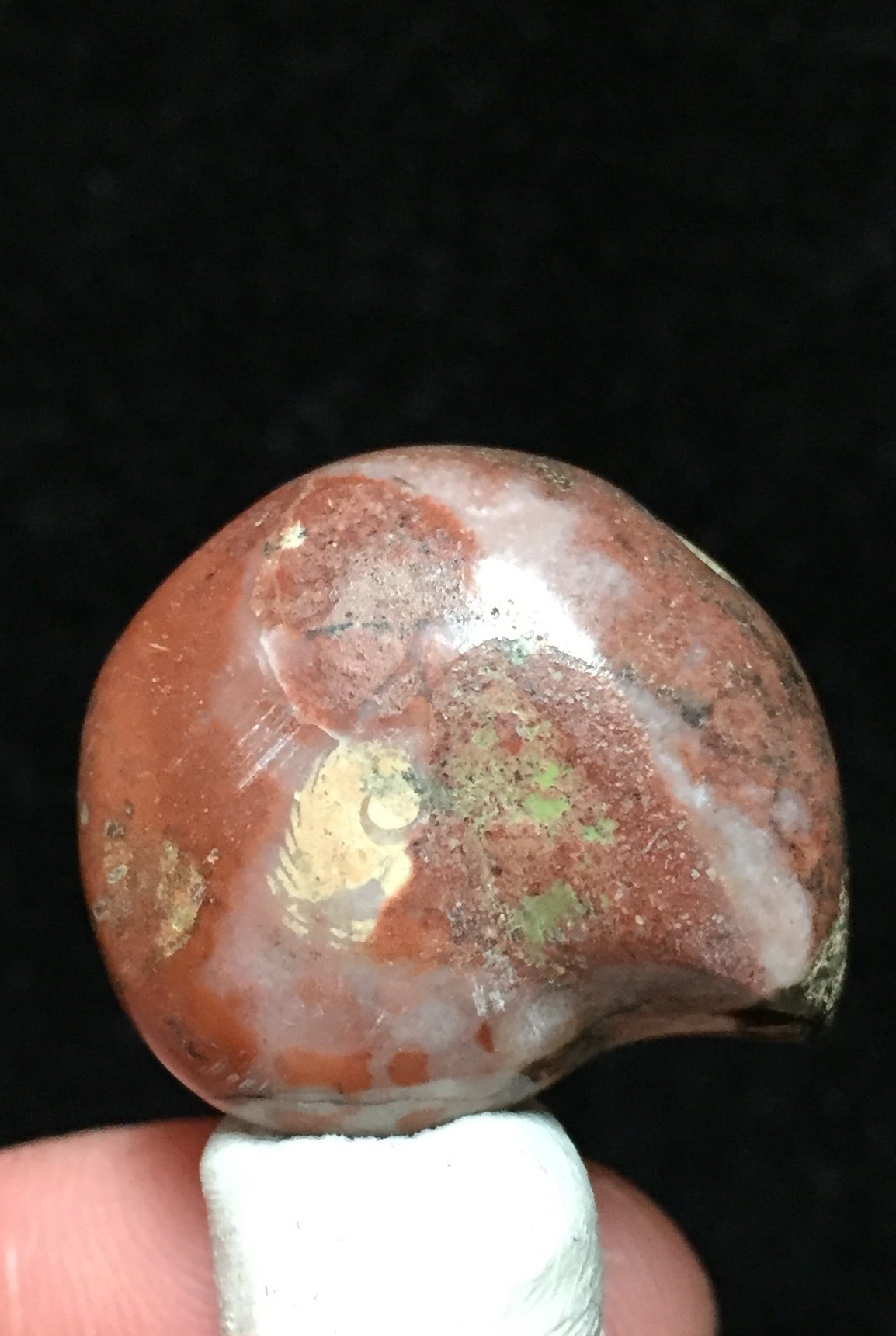 40) 化石ケオン・ハイグレード