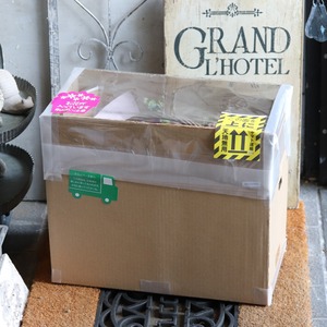 球根を楽しむ寄せ植え　クラウンピックをつかった小さな寄せ植え　お部屋にもオススメ　届いてすぐ玄関に飾れる 　プレゼントにもオススメ　