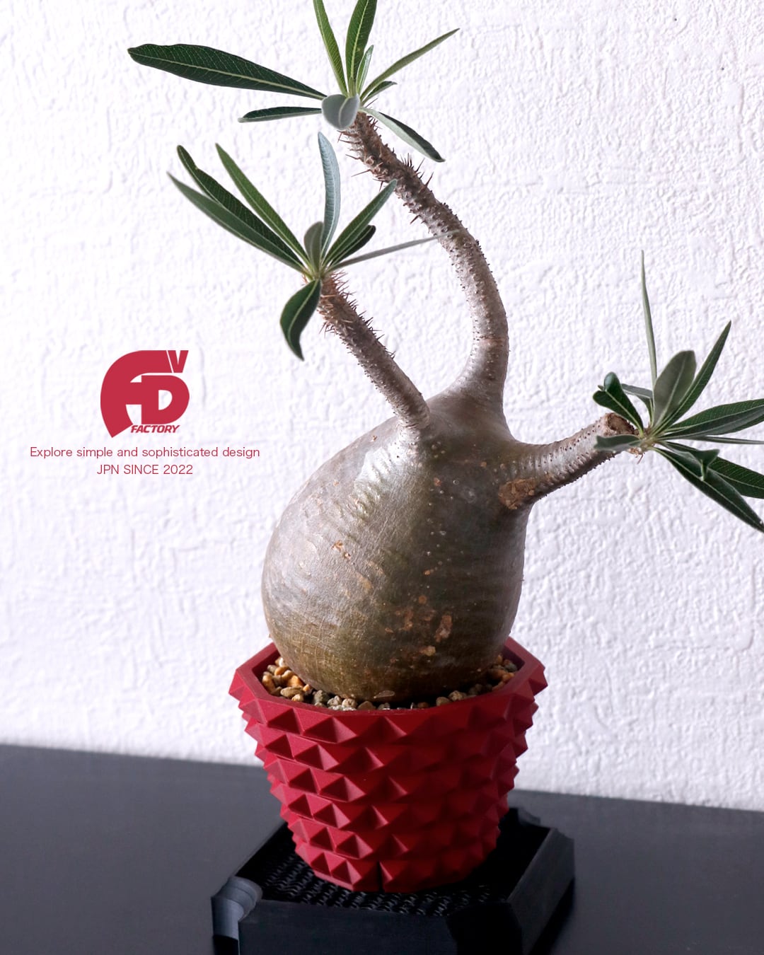 Adv-stage-S (100×100) 台座 受け皿 Adv鉢 【BASEショップ限定