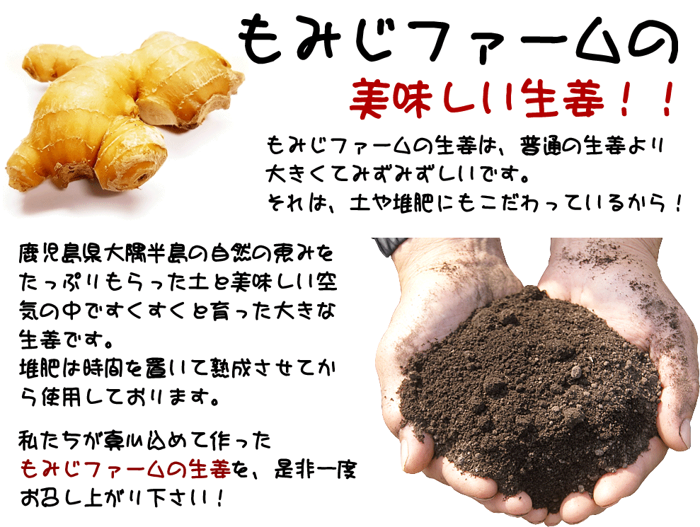 Jasmine 囲い生姜 20kg 農薬肥料栽培期間中不使用 Jasmine様専用 囲い生姜 20kg 農薬肥料栽培期間中不使用 シャキシャキ