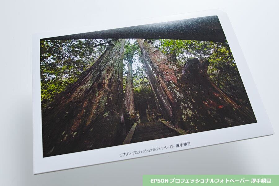 出力サンプル三昧］A4写真プリント | mikumanostyle