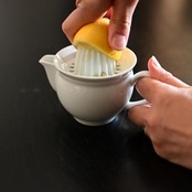 東屋　ジューサー［4573503821329］