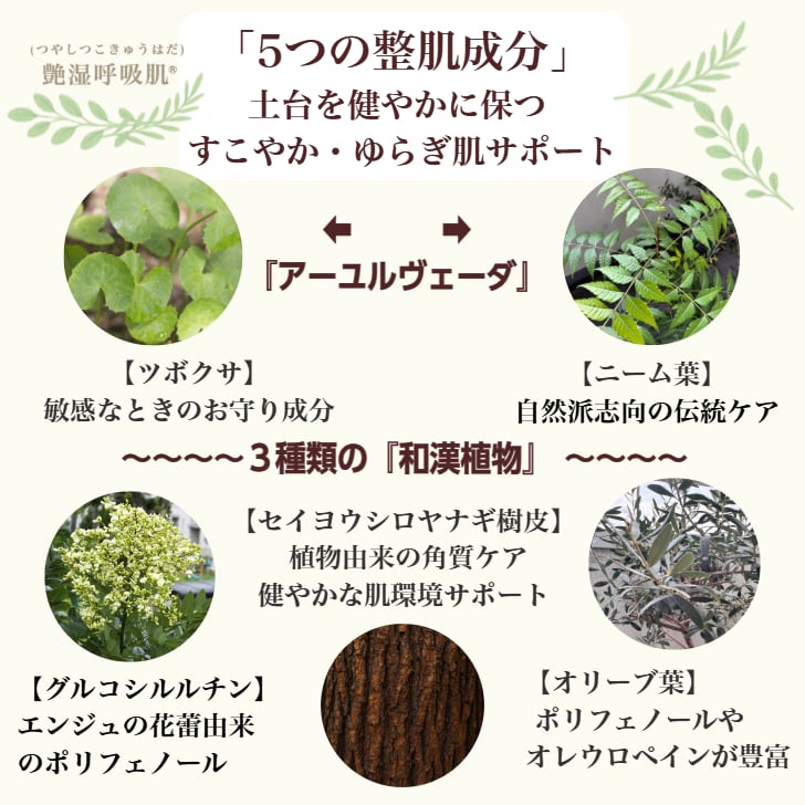 はたけなう真心【2番 トータルローション 300ml 】 オイルフリー 保湿