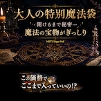 緊急追加！8名様のみ★大人の特別魔法袋 ― 開けるまで秘密。魔法の宝物が、ぎっしり。【限定 8SET】