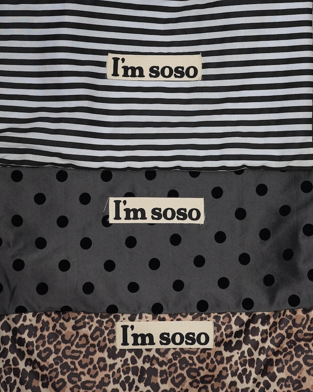 I’M SOSO KNAPSACK 2