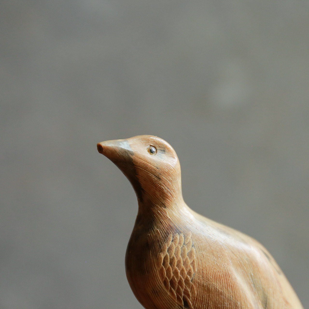 【ご成約品】水牛の角から生まれた、優雅な孔雀 3