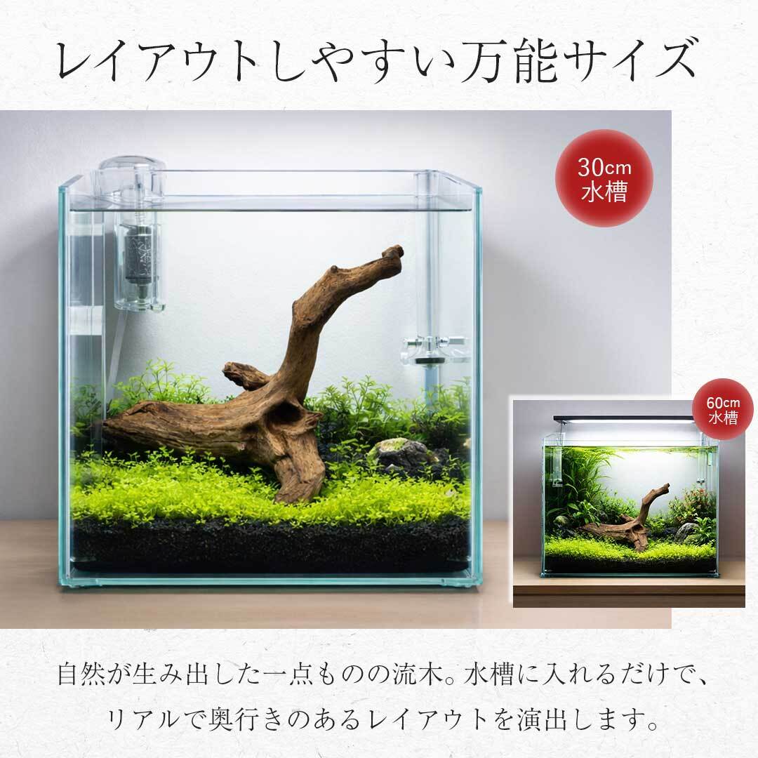 爬虫類　レイアウト　流木 流木 爬虫類 登り木 あく抜き処理 煮沸消毒済 トカゲ ヤモリ ケージ