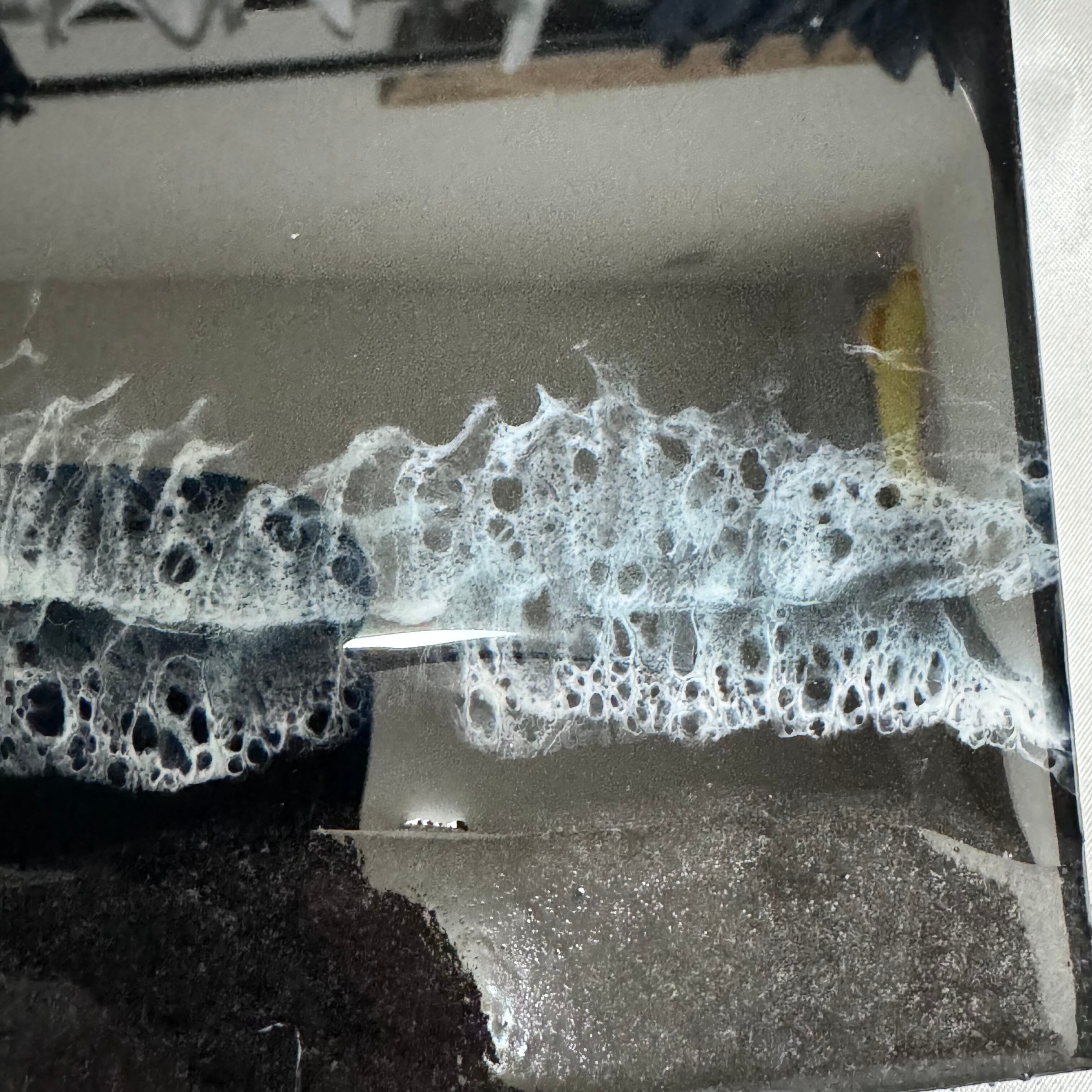 夜光虫パネル （D-1） | Pay ID