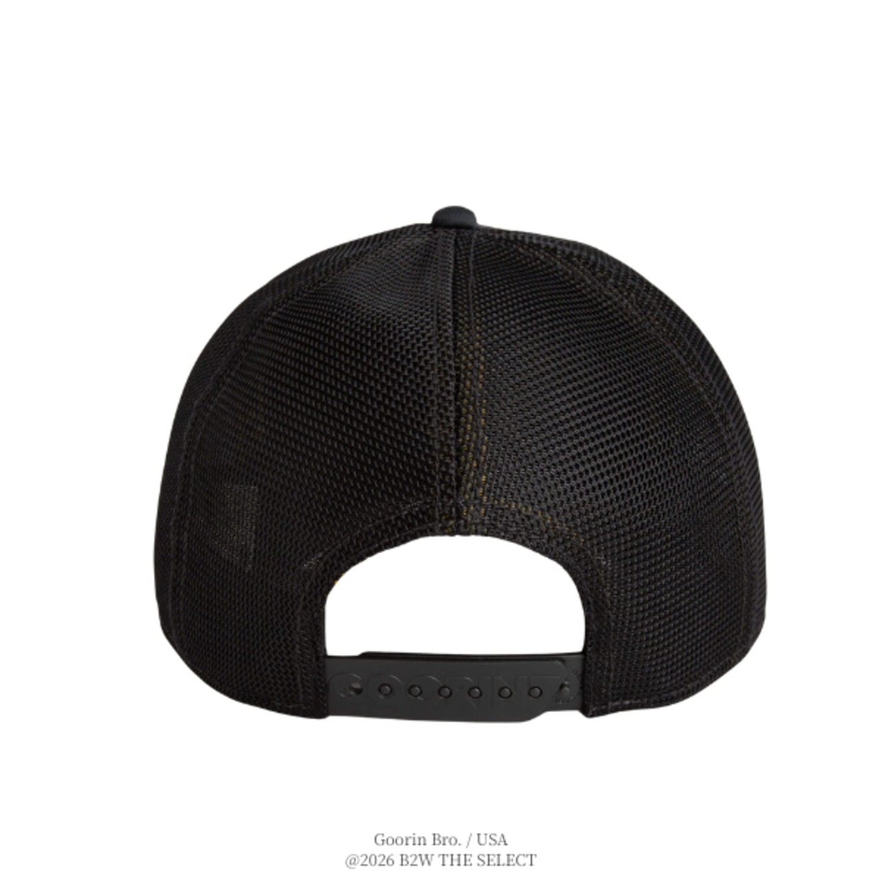 Goorin Bros. GB2 Lion VOID VOID - 7